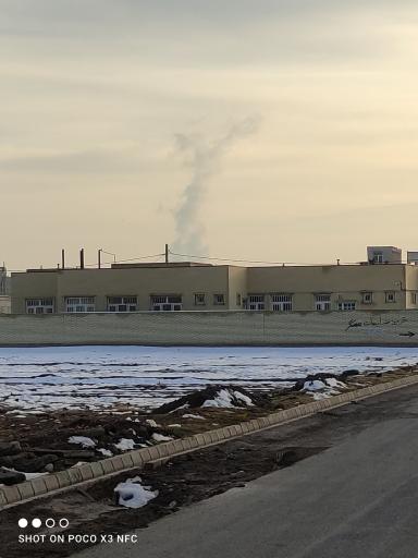 عکس بهداشت باغ معروف