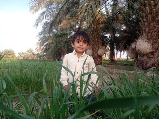 عکس ایرانشهر