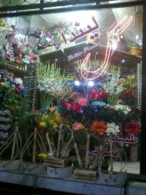 عکس سرای گل لیندا