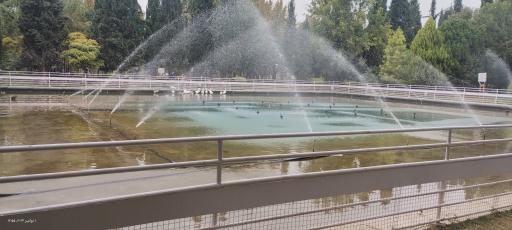 عکس مجموعه ورزشی باغ فردوس