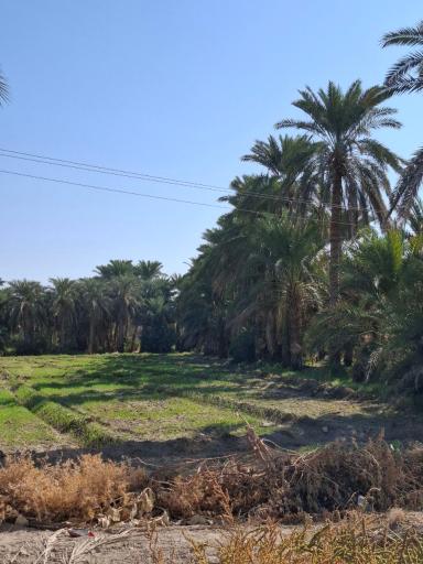 عکس ایرانشهر