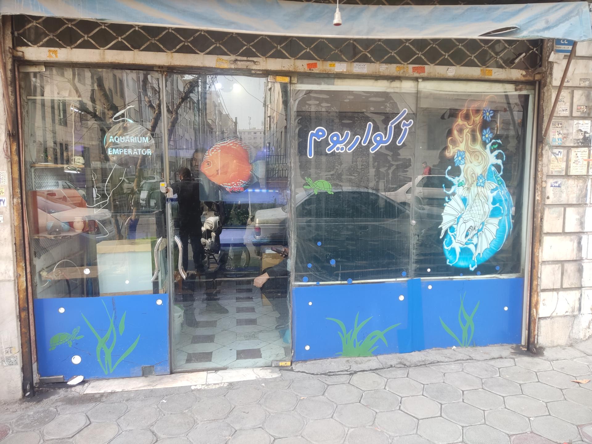 عکس آکواریوم امپراطور 2