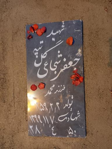 عکس آرامگاه شهید سروان جعفر شجاعی گل تپه