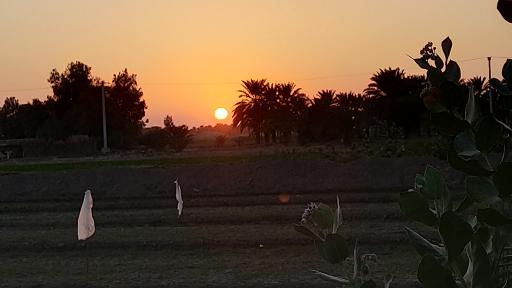 عکس ایرانشهر