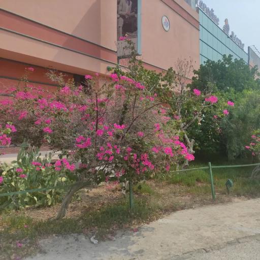 عکس مرکز تجاری کیش