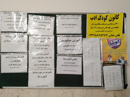 عکس سرای محله حسینی فردوس