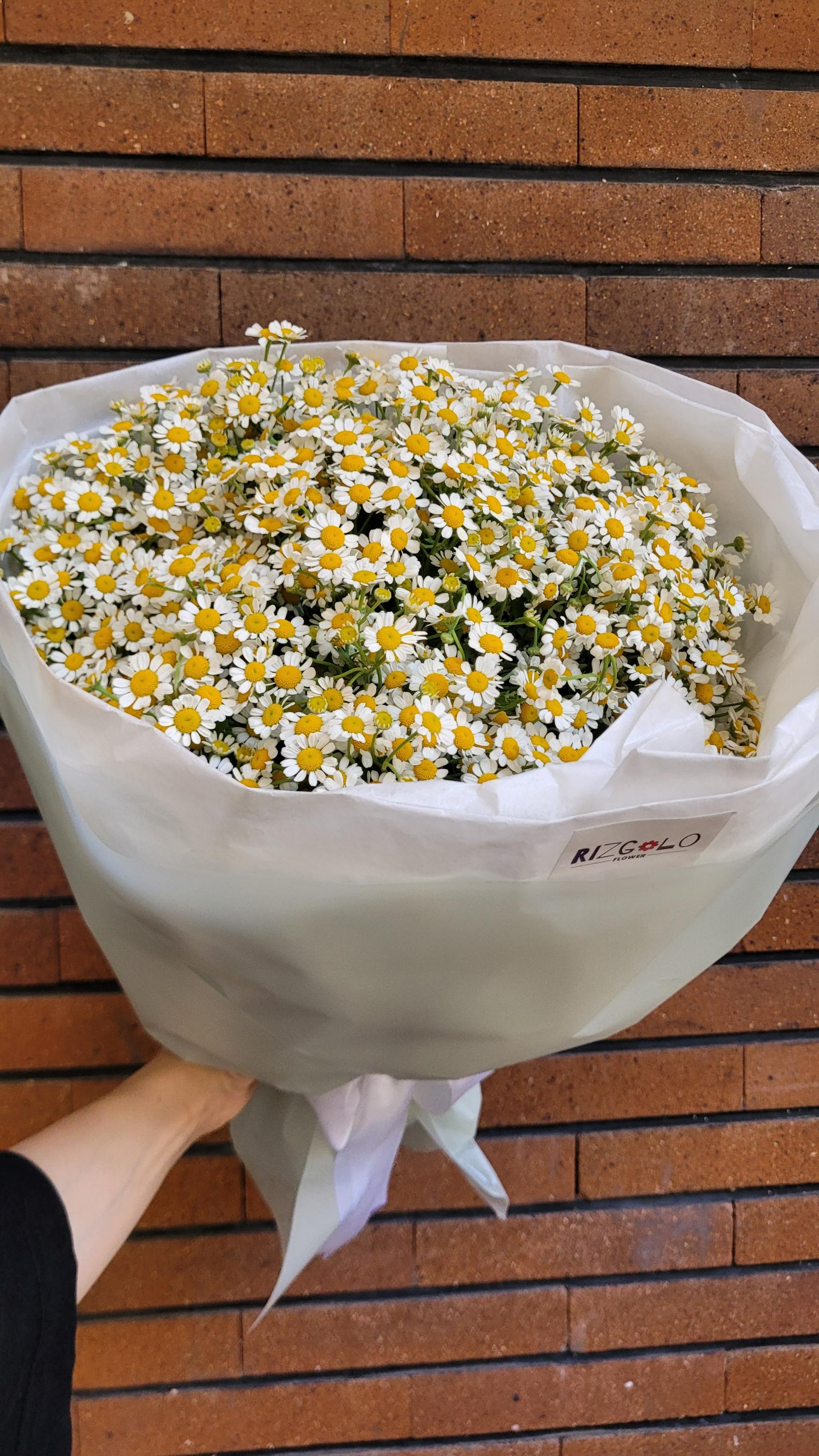 عکس گلفروشی ریزگولو آنلاین