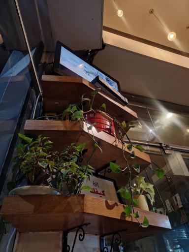 عکس کافه دیما