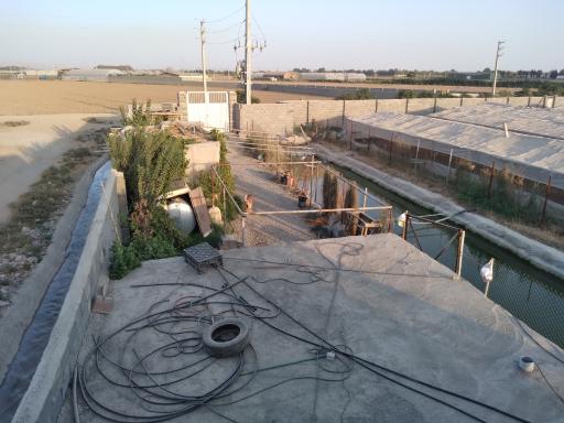 عکس گلخانه مجید حسن خانی