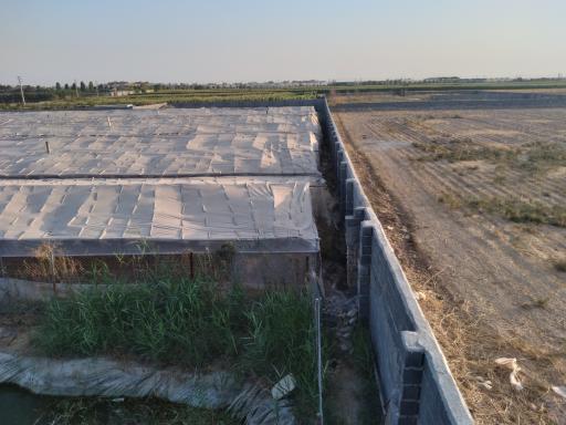 عکس گلخانه مجید حسن خانی