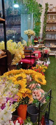 عکس فروشگاه پلاسکو لیون