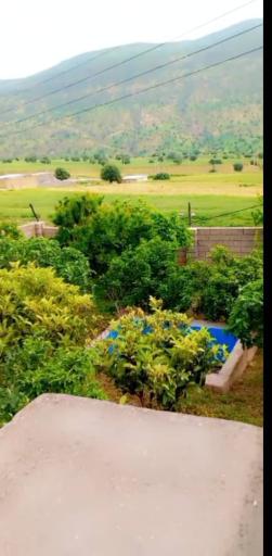 عکس اقامتگاه شولیز 