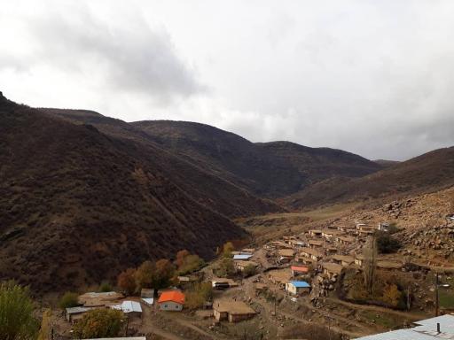 شباندر