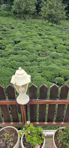 عکس کافه آتش