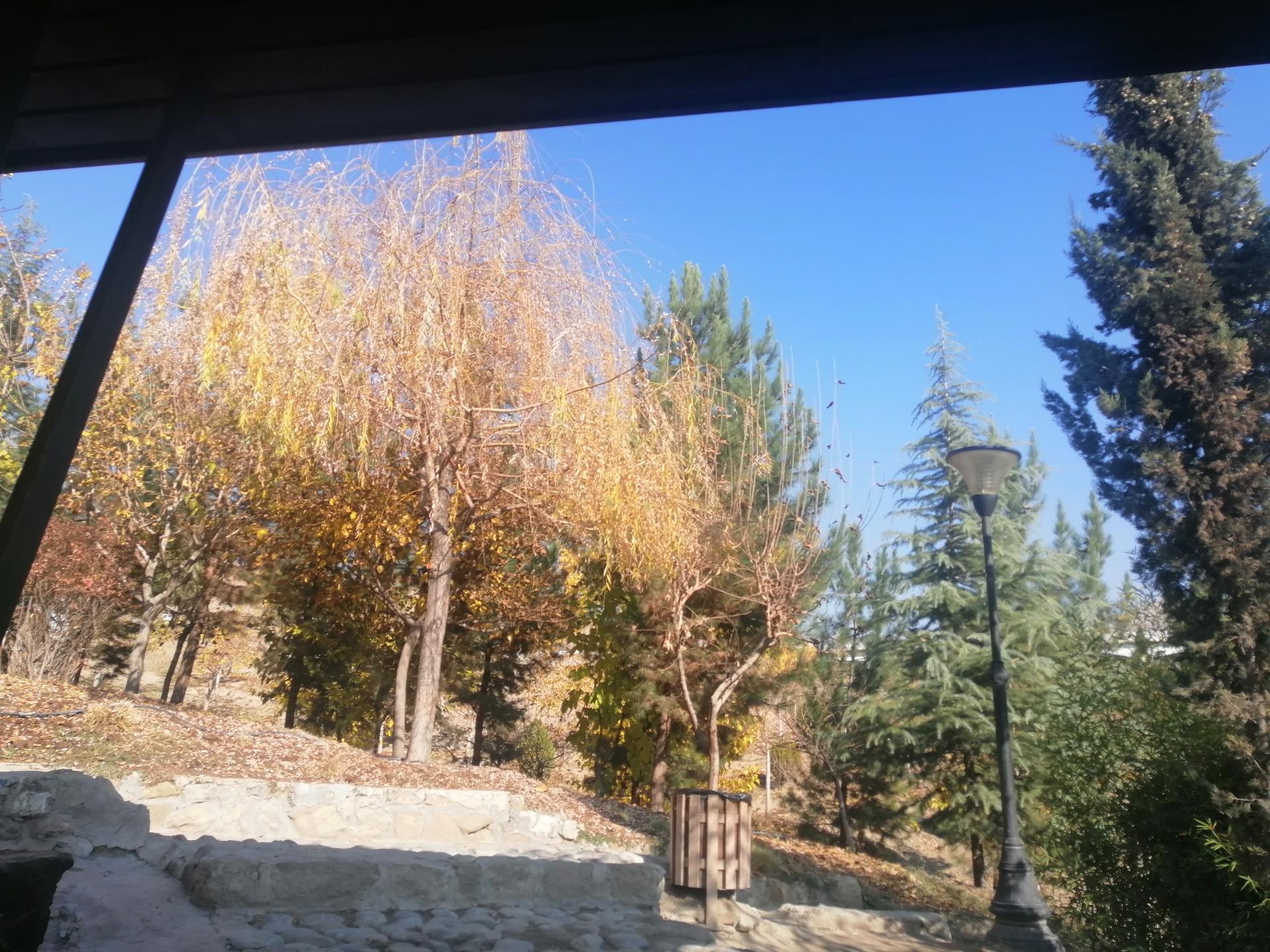 عکس پارک آتشگاه