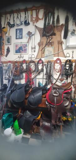 عکس لوازم سوارکاری معینی