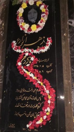 عکس مزار زهرا زارع