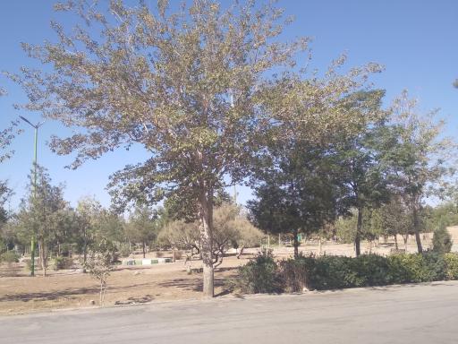 عکس پارک گلستان