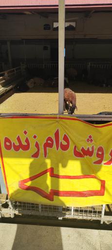 عکس کشتارگاه حکیمیه