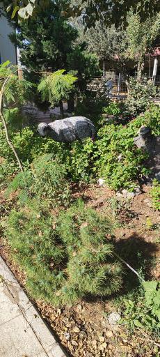 عکس کشتارگاه حکیمیه