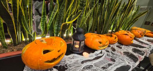 عکس کافه بازی لاندا