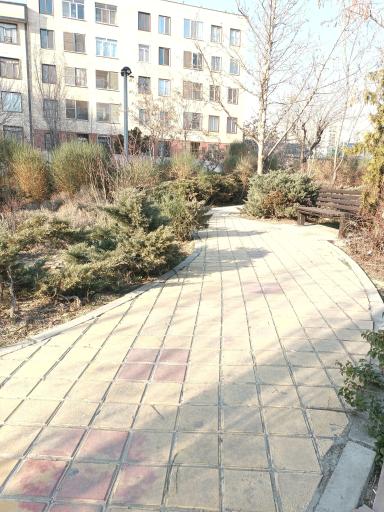 عکس بوستان میثاق