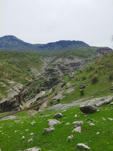 عکس شباندر