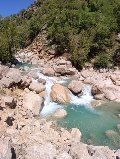 عکس شباندر
