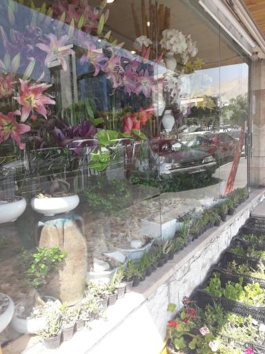 فروشگاه گل باختر