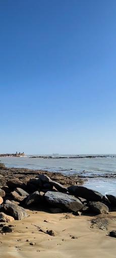 ساحل طبیعی پارک‌ لیان