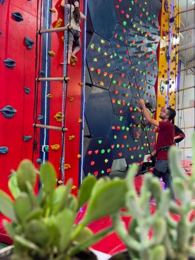 عکس مجتمع کودک توتک