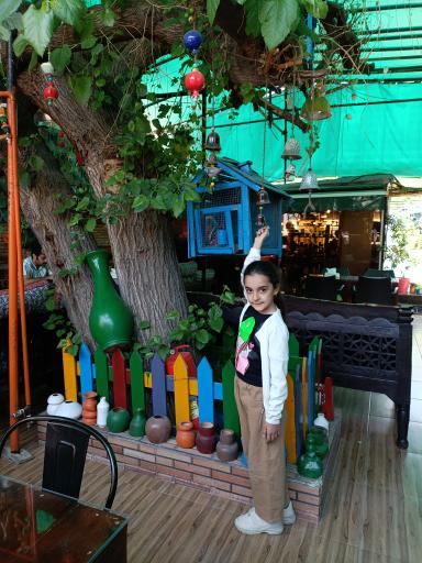 عکس کافه و رستوران ایرو (باغ ایرو)