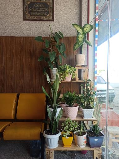 عکس تاکسی تلفنی یاسین