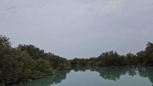 عکس منطقه حفاظت شده جنگل حرا