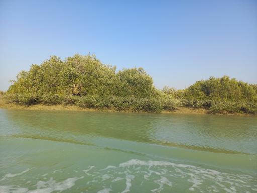 عکس منطقه حفاظت شده جنگل حرا