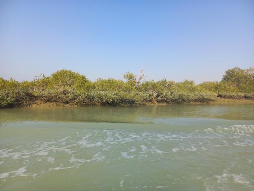 عکس منطقه حفاظت شده جنگل حرا