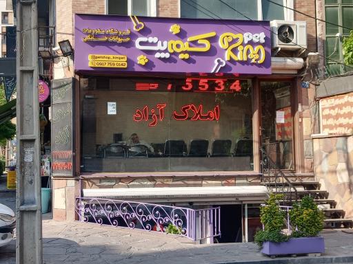 عکس پت شاپ کیم پت