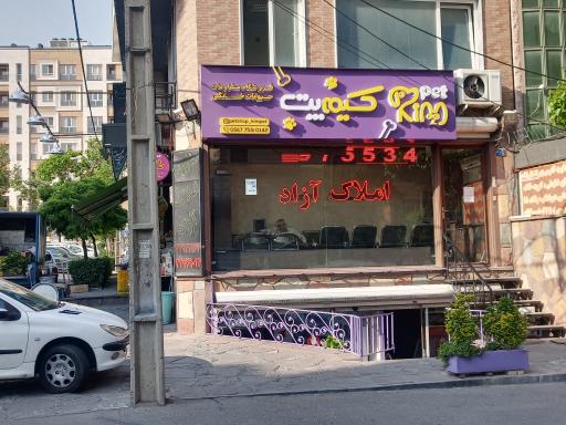 عکس پت شاپ کیم پت