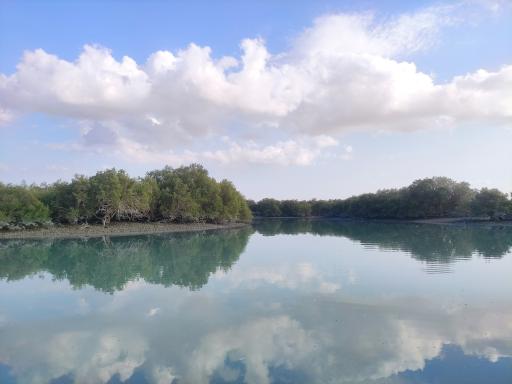 عکس منطقه حفاظت شده جنگل حرا