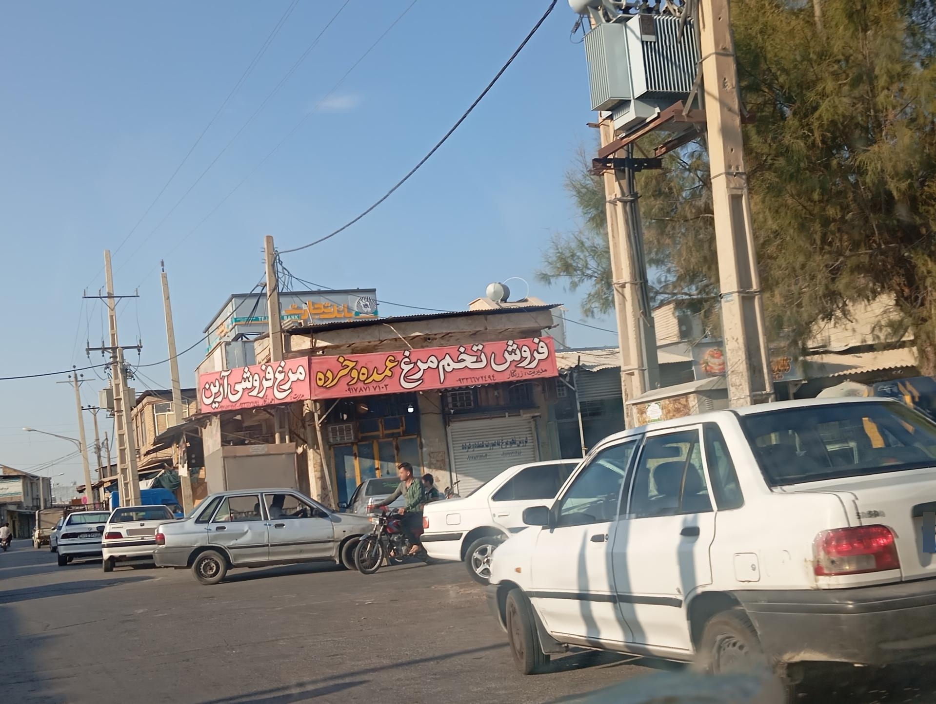 عکس فروش تخم مرغ عمده و جزئی آرین