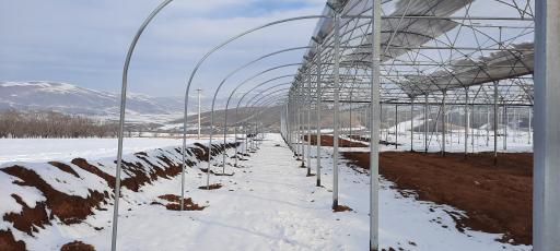 عکس گروه گلخانه سازی رافا 