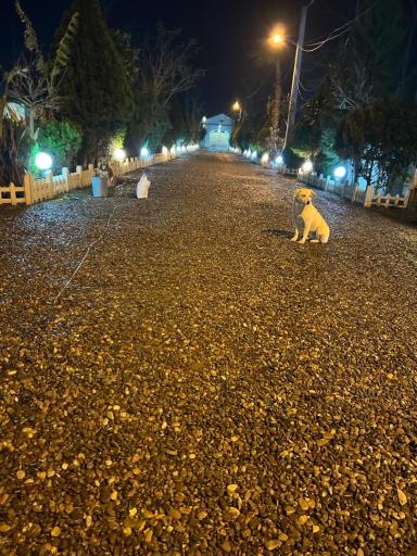 عکس شهرک کوروش 2