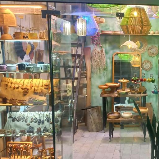 عکس کادویی جنگل