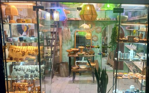 عکس کادویی جنگل