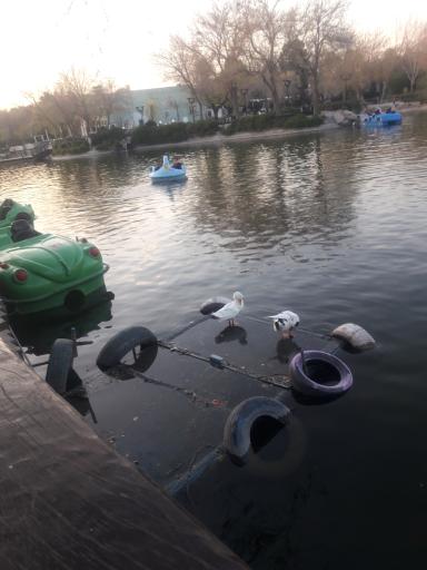 عکس پلاژ ساحل خزر آباد (فریدون کنار)