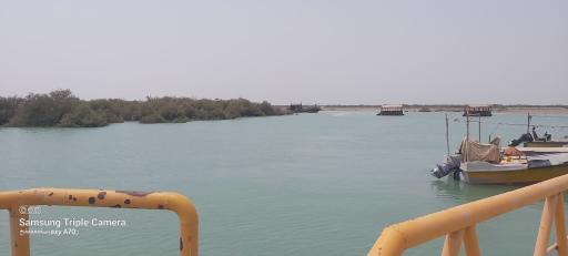 عکس منطقه حفاظت شده جنگل حرا