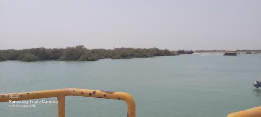 عکس منطقه حفاظت شده جنگل حرا