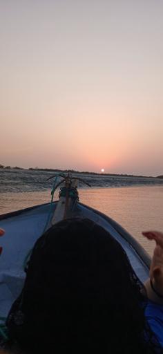 عکس منطقه حفاظت شده جنگل حرا