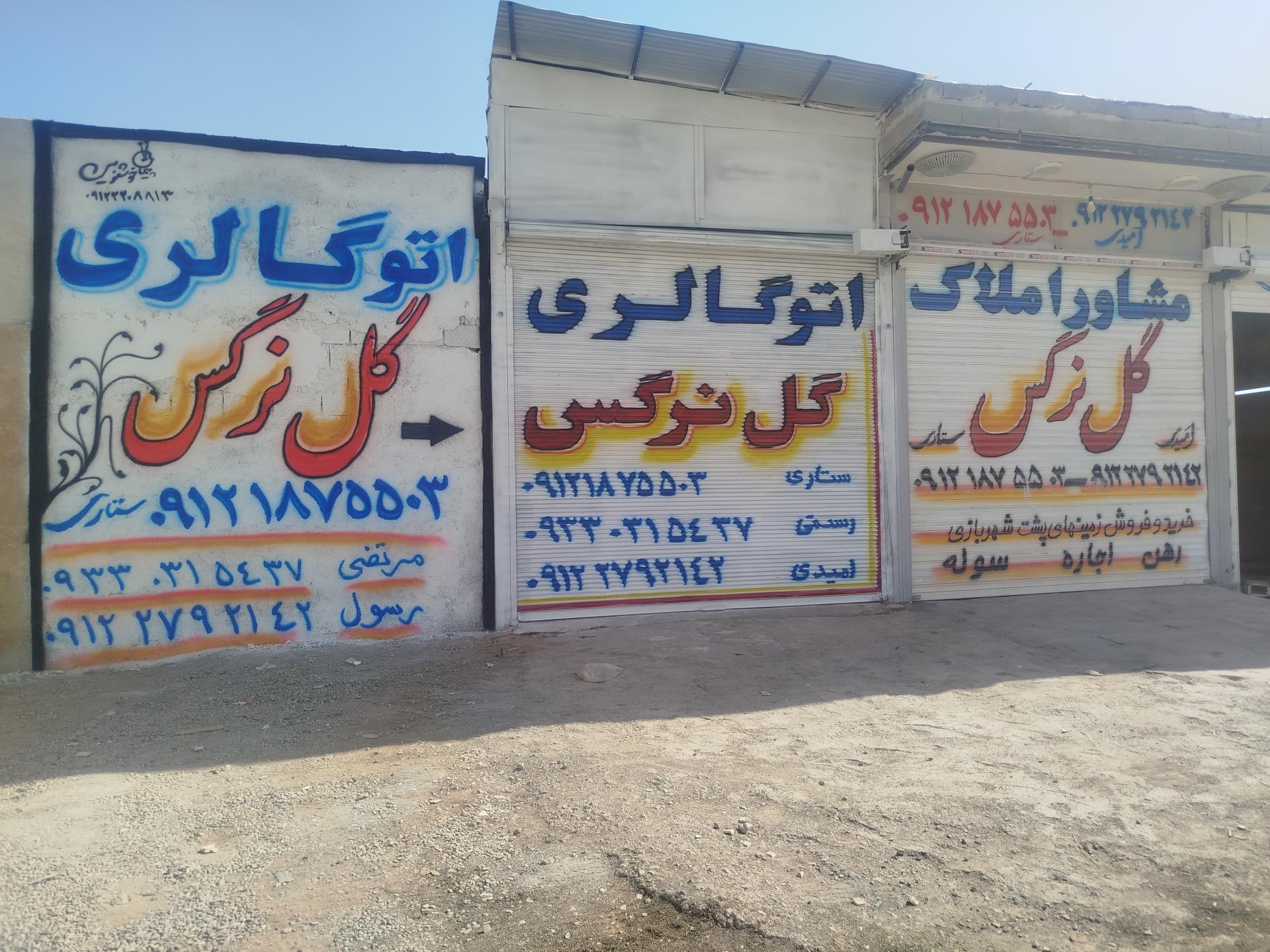 عکس اتو گالری گل نرگس (حجت ستاری)