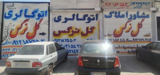 عکس اتو گالری گل نرگس (حجت ستاری)